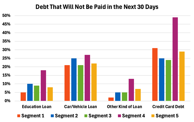 a graphic explaining the different types of debt owned by each of the five segments discussed in this article, including education, cars, and credit cards