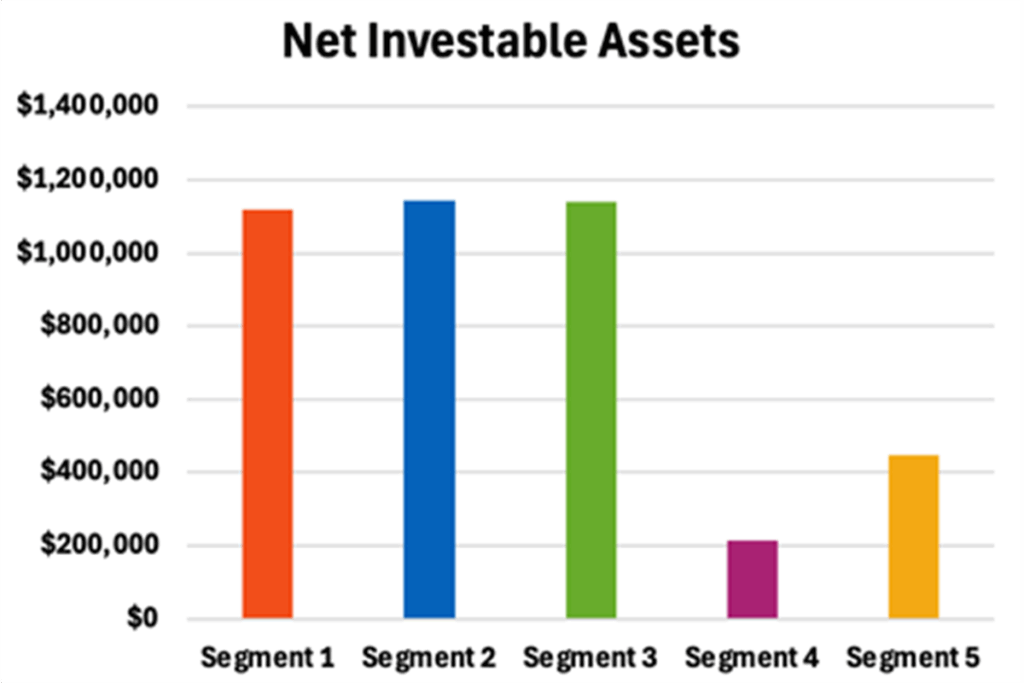a graphic explaining the net investable assets of each of the five segments discussed in this article