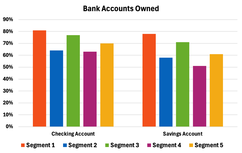 a graphic explaining the different types of bank accounts owned by each of the five segments discussed in this article