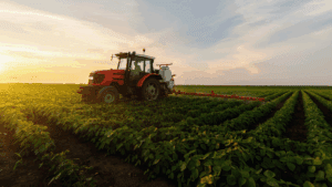 a picture showing a red tractor spraying a soybean field in sunset light